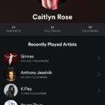 A Spotify Review � Praises & Criticisms From A Millennial Perspective